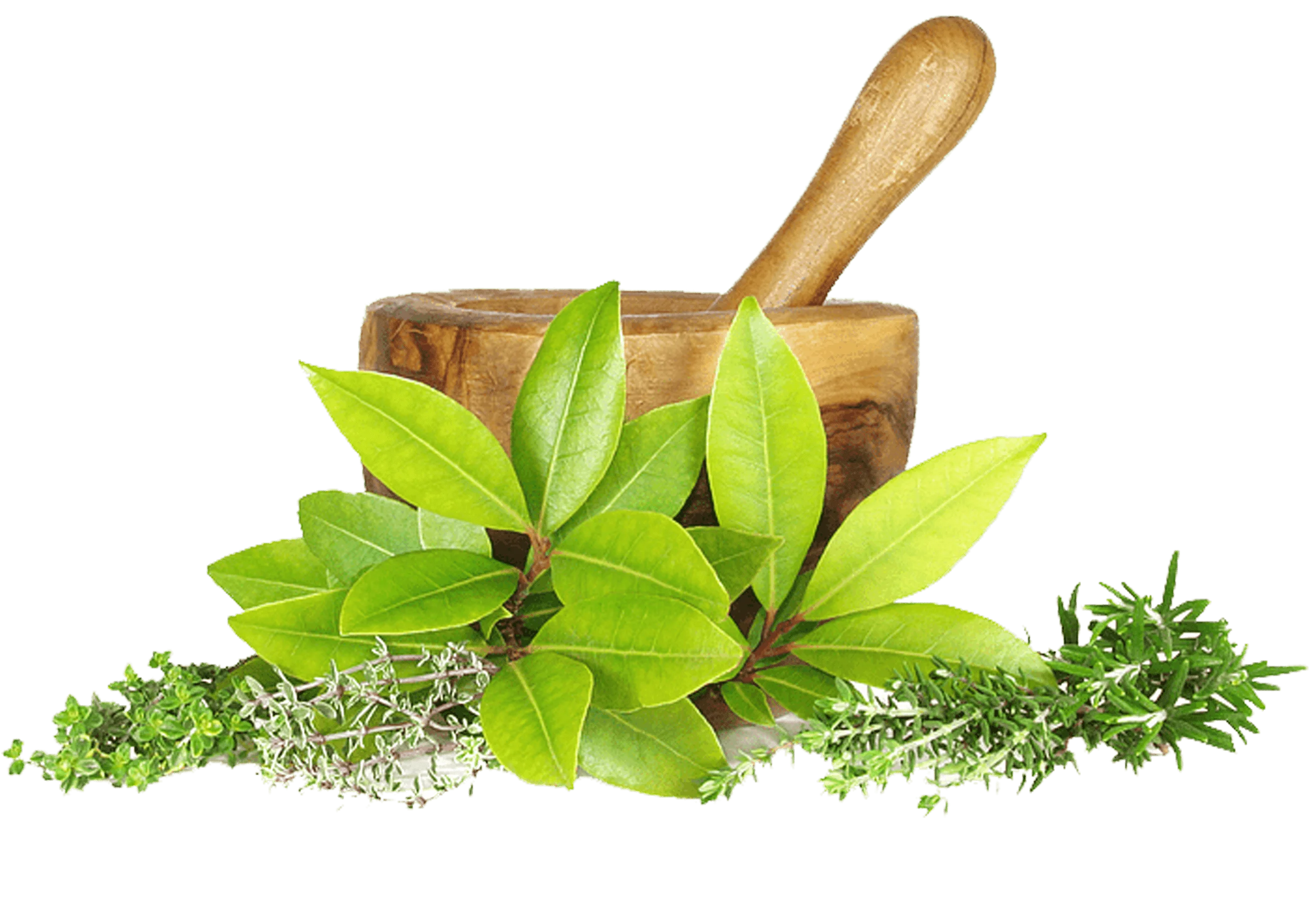 top ayurveda clinic in trichy